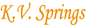 Spring Suppliers in Coimbatore
